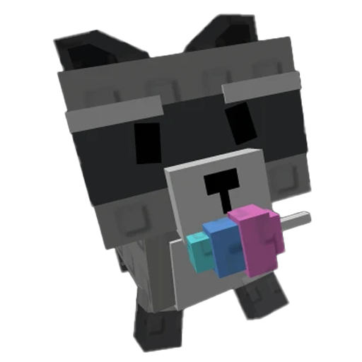 Raccoon
